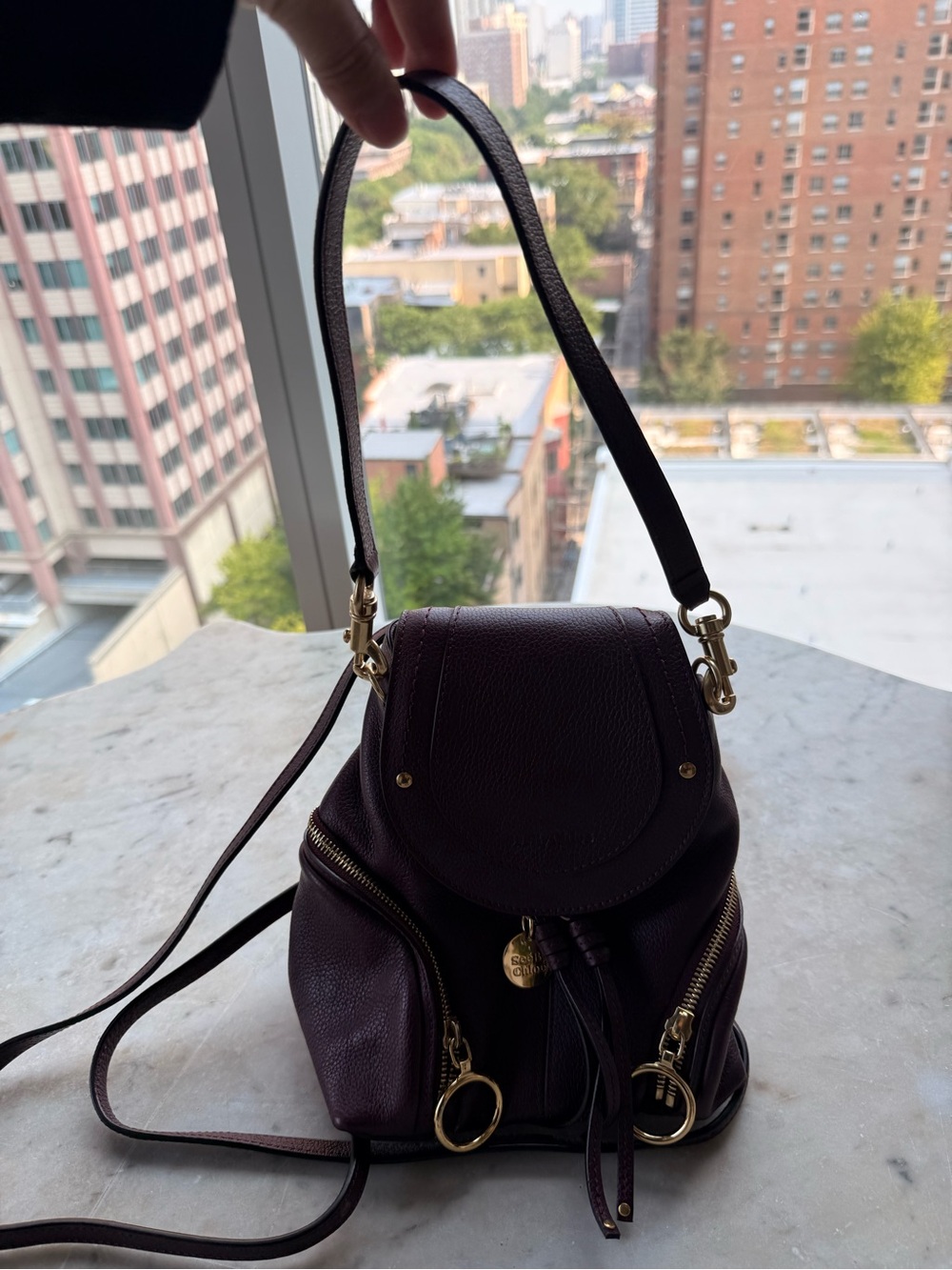 See By Chloe Small Backpack in Deep Plum